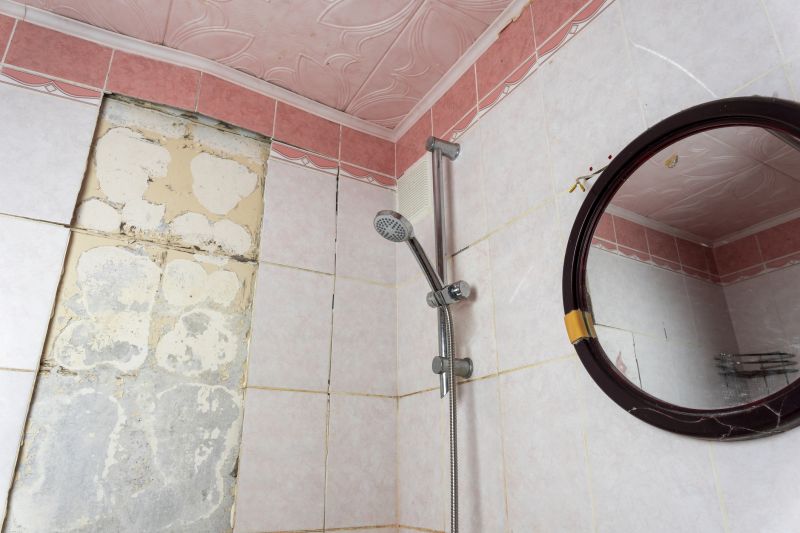 Top Shower Remodeling Companies in Topeka, KS